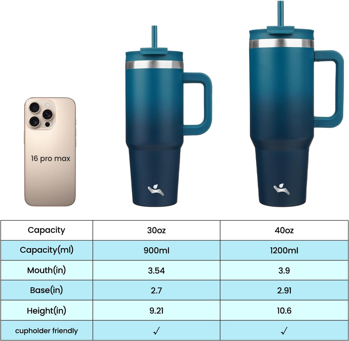 30 oz Insulated Tumbler Water Bottle with Handle, Straw Lid