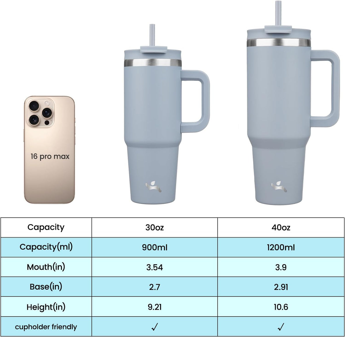 30 oz Insulated Tumbler Water Bottle with Handle, Straw Lid