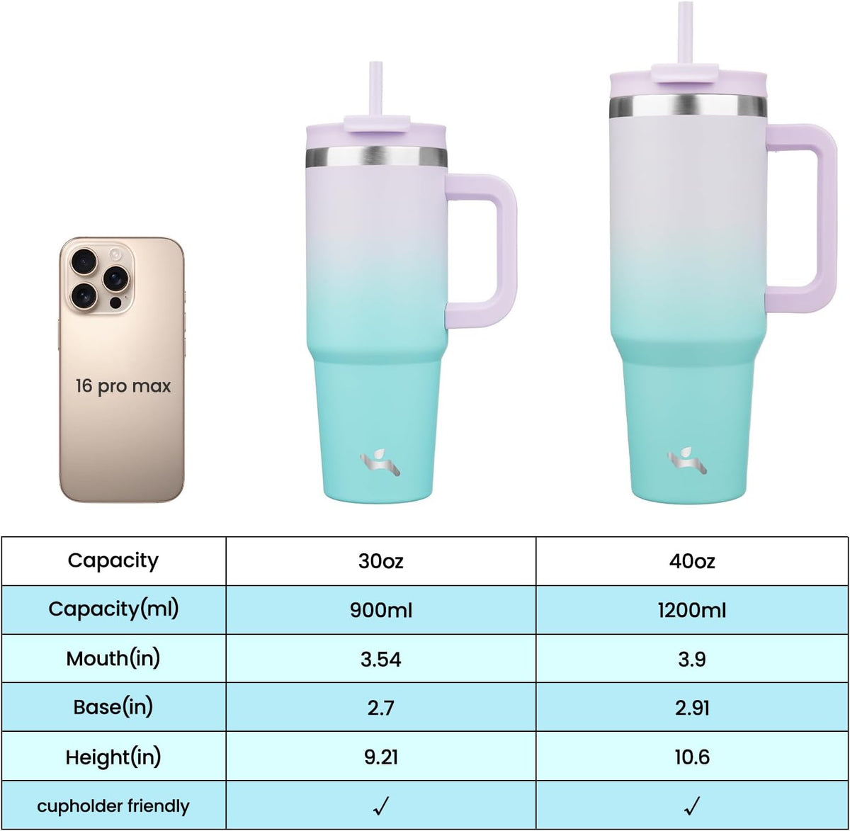 30 oz Insulated Tumbler Water Bottle with Handle, Straw Lid