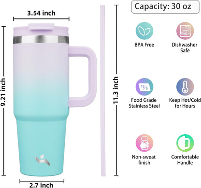 30 oz Insulated Tumbler Water Bottle with Handle, Straw Lid