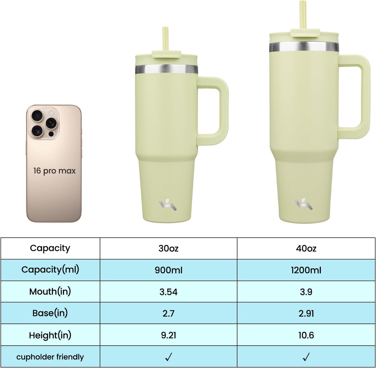 30 oz Insulated Tumbler Water Bottle with Handle, Straw Lid