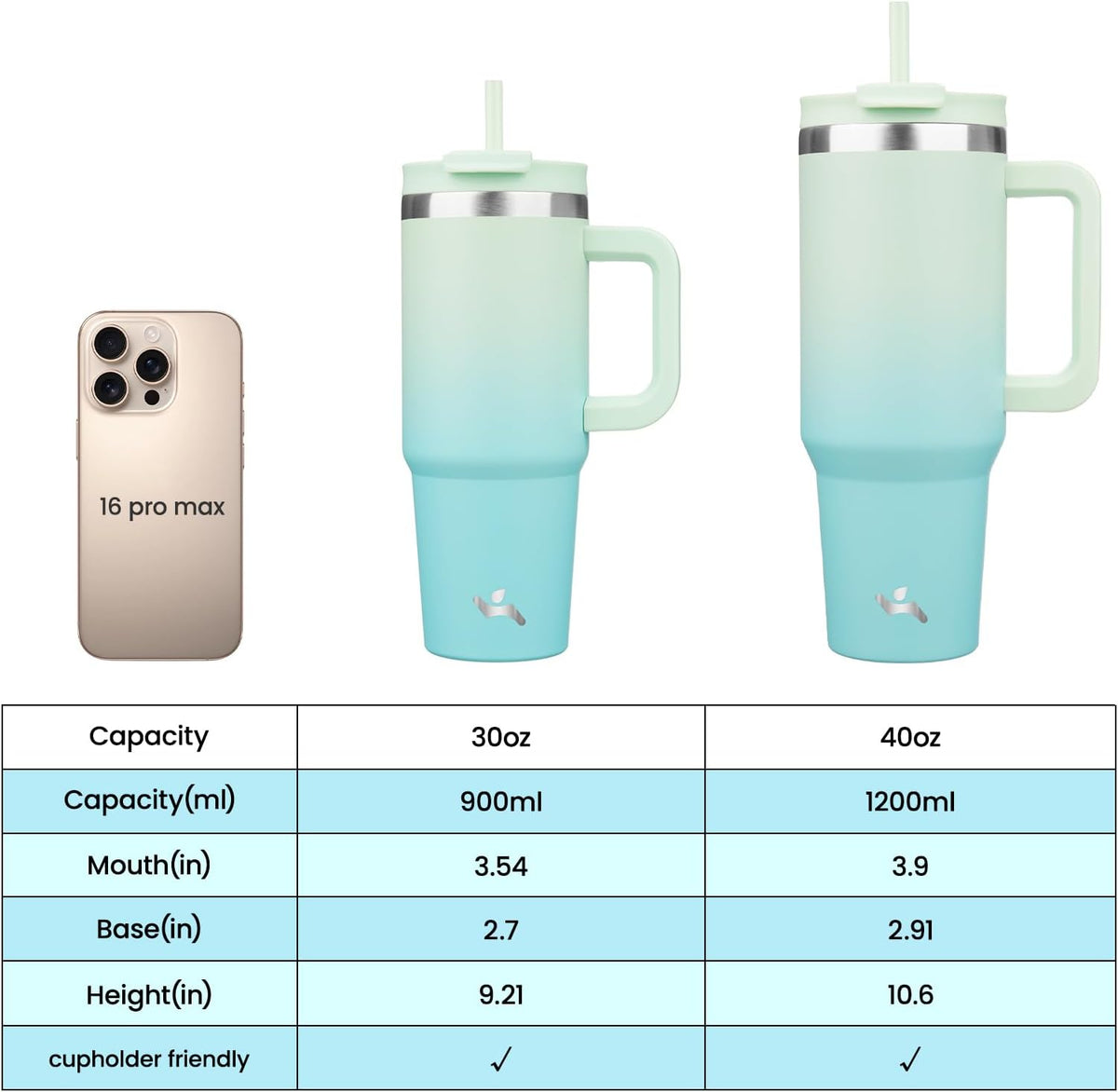 30 oz Insulated Tumbler Water Bottle with Handle, Straw Lid