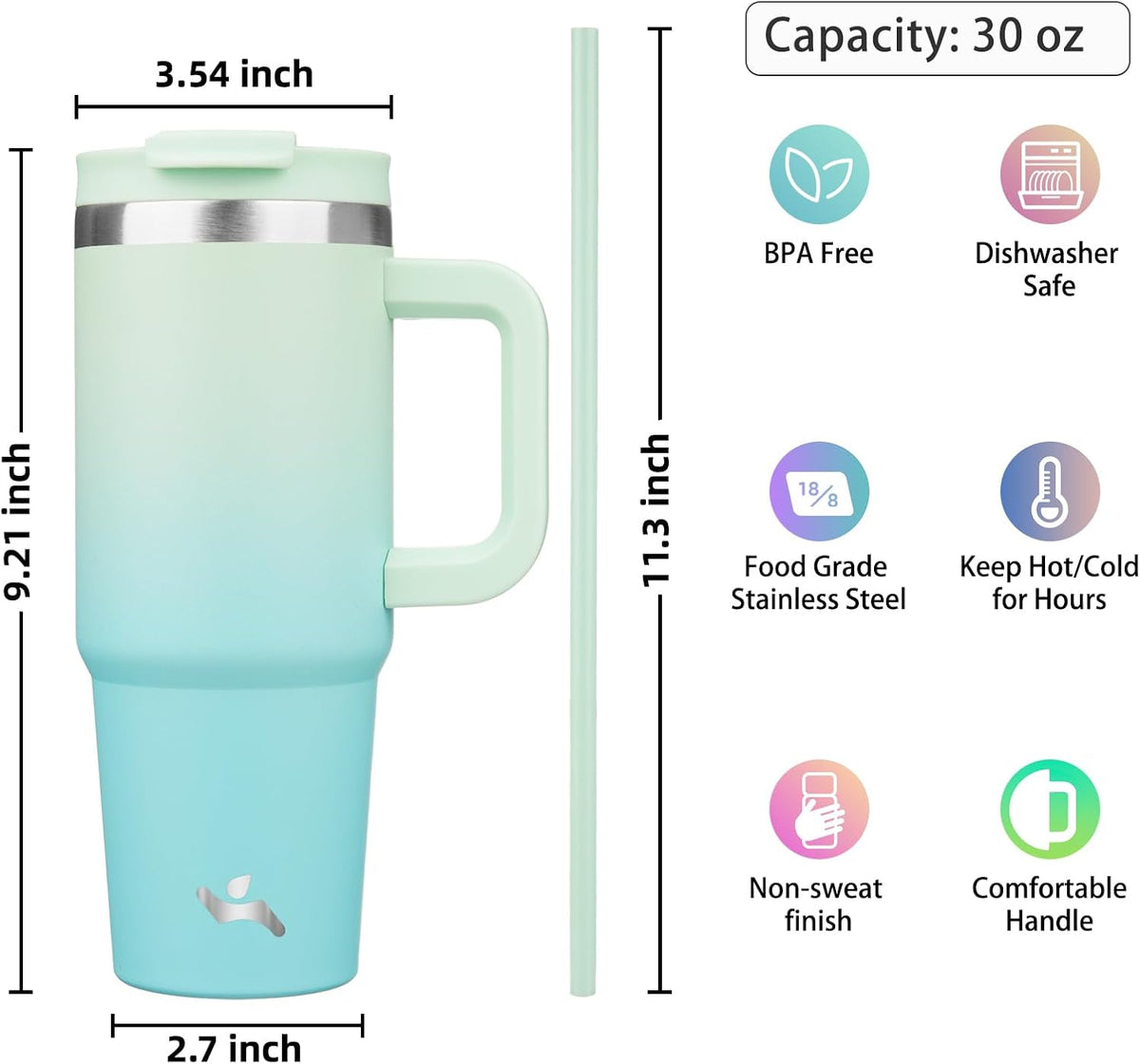 30 oz Insulated Tumbler Water Bottle with Handle, Straw Lid