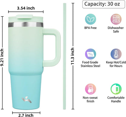30 oz Insulated Tumbler Water Bottle with Handle, Straw Lid