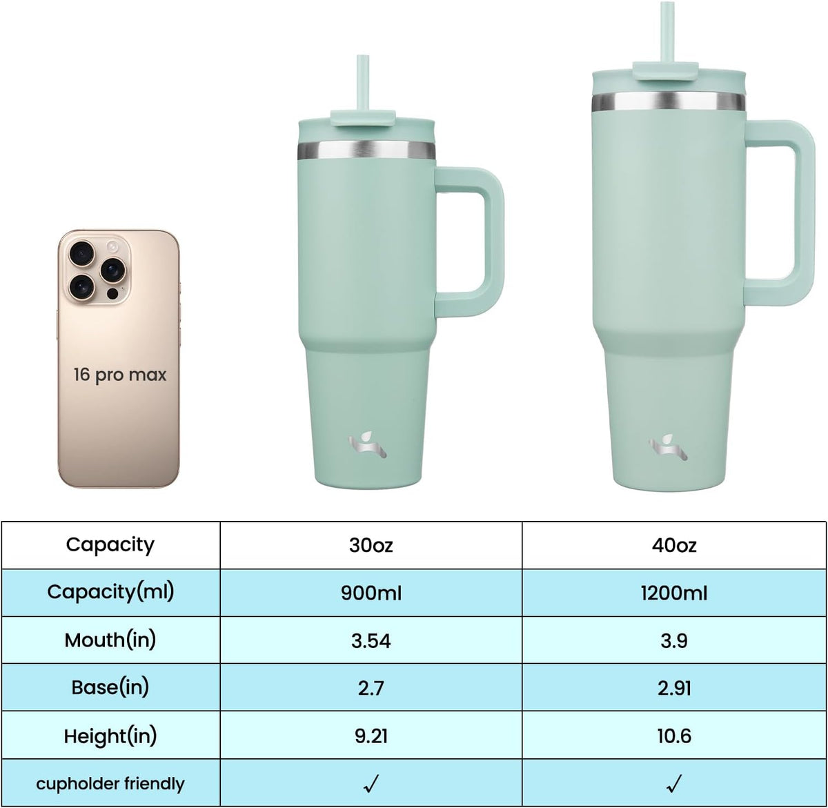30 oz Insulated Tumbler Water Bottle with Handle, Straw Lid