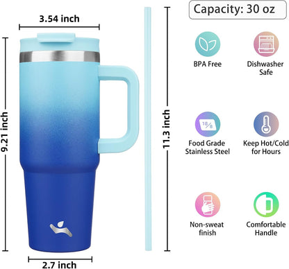 30 oz Insulated Tumbler Water Bottle with Handle, Straw Lid