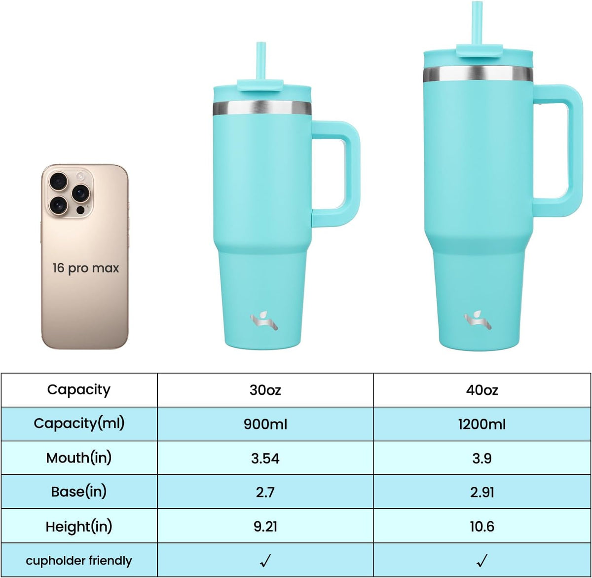 30 oz Insulated Tumbler Water Bottle with Handle, Straw Lid