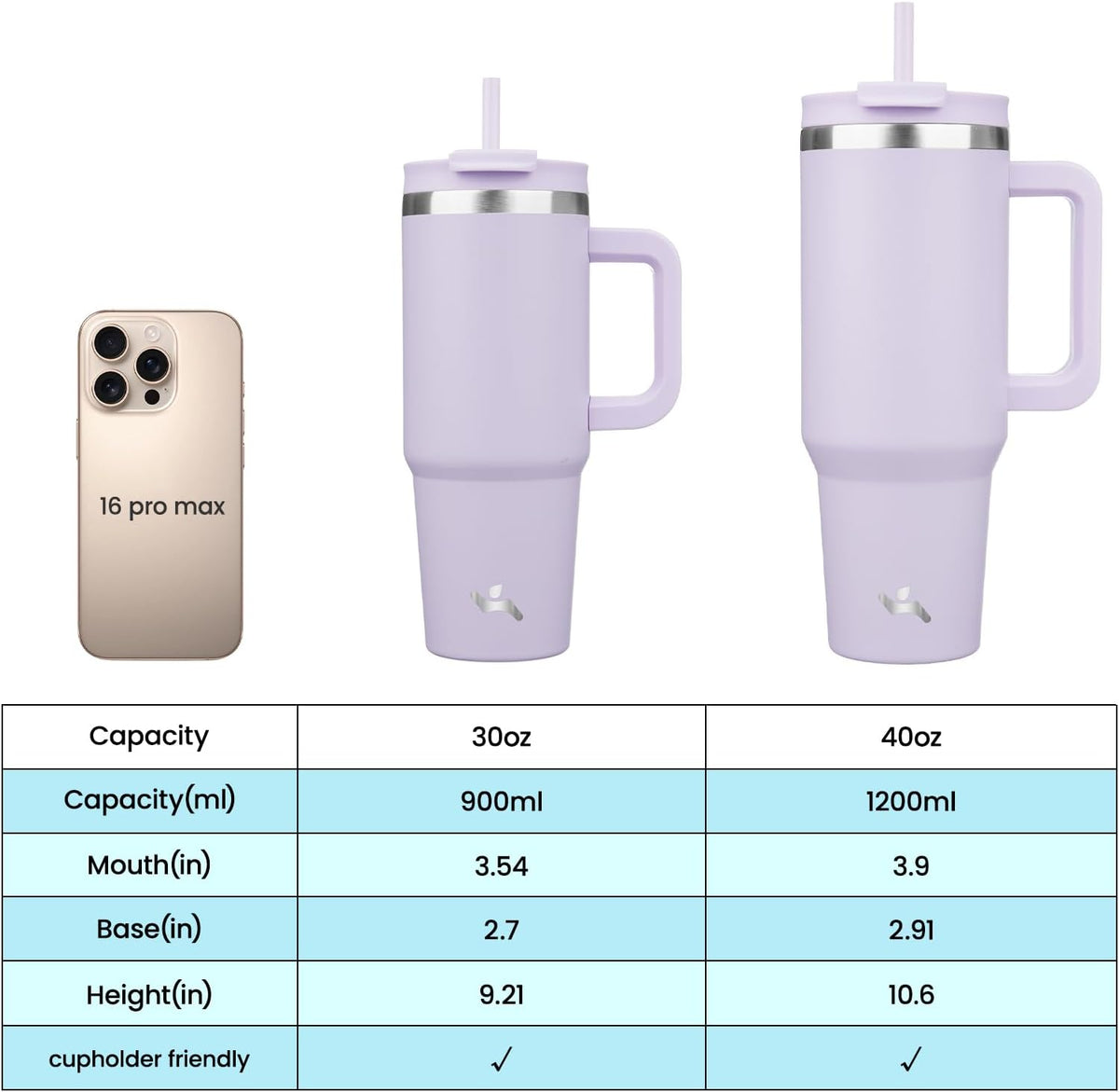 30 oz Insulated Tumbler Water Bottle with Handle, Straw Lid