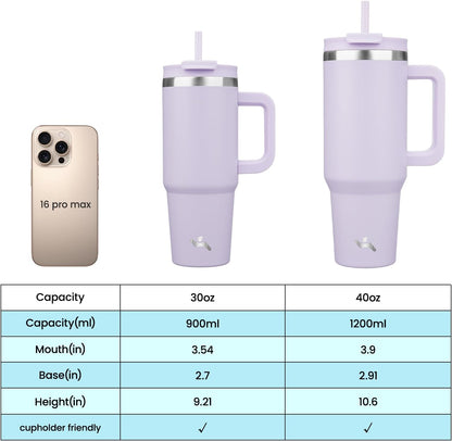 30 oz Insulated Tumbler Water Bottle with Handle, Straw Lid