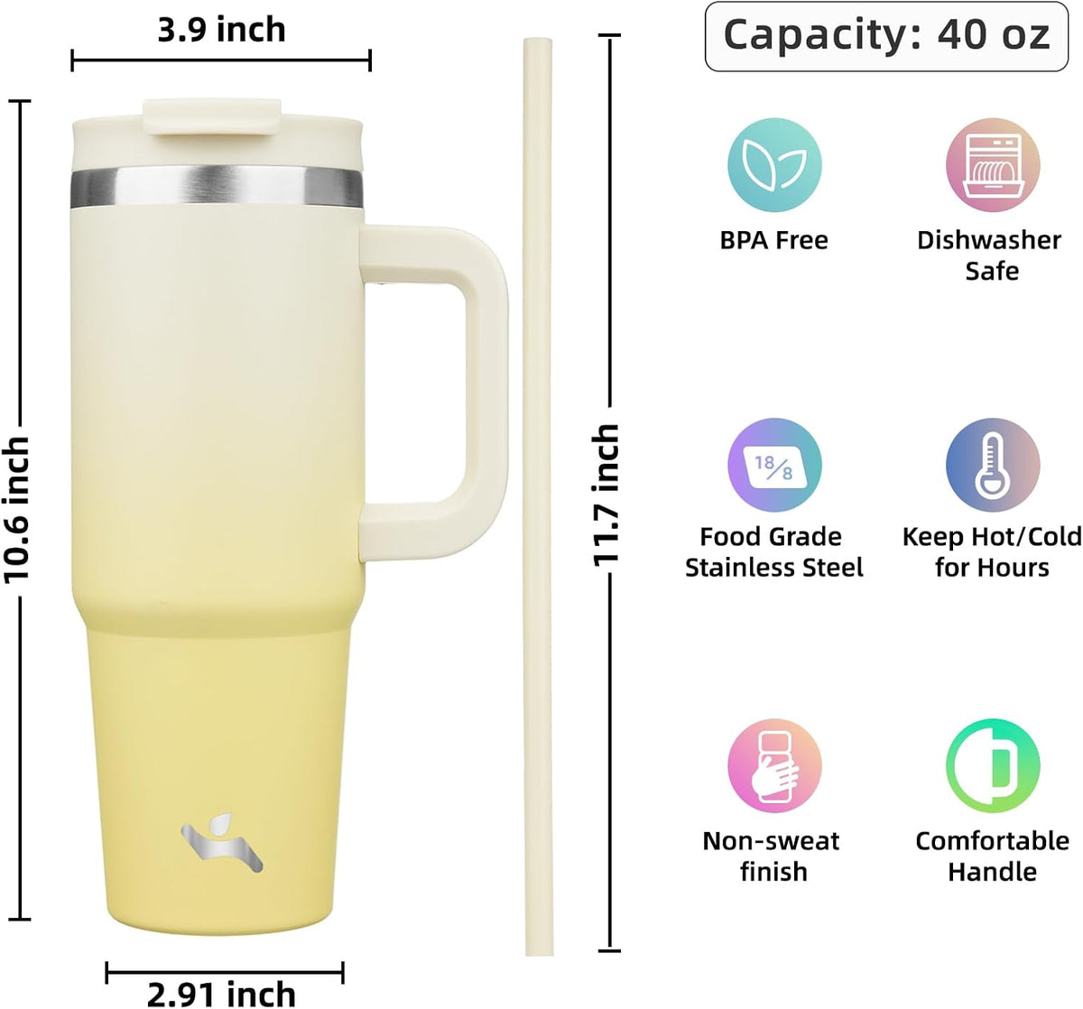 30 oz Insulated Tumbler Water Bottle with Handle, Straw Lid
