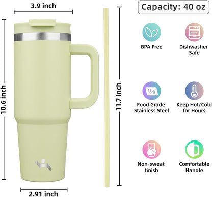 30 oz Insulated Tumbler Water Bottle with Handle, Straw Lid