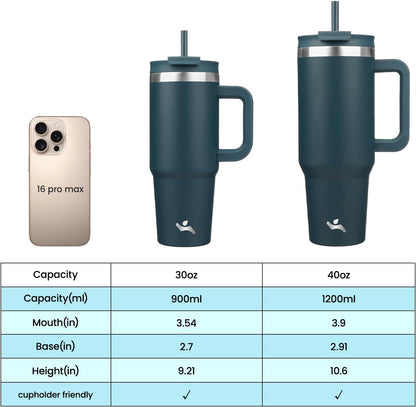 30 oz Insulated Tumbler Water Bottle with Handle, Straw Lid