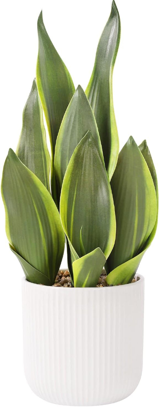 Artificial Realistic Snake Plant 16" with White Ceramic Pot