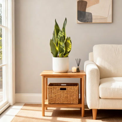 Artificial Realistic Snake Plant 16" with White Ceramic Pot