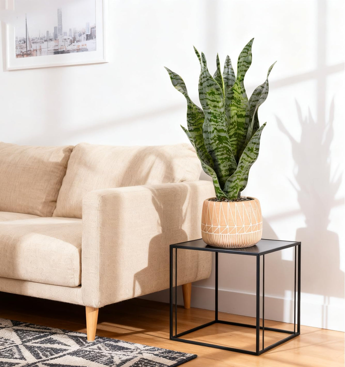 Artificial Realistic Snake Plant 16" with White Ceramic Pot