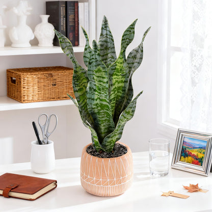 Artificial Realistic Snake Plant 16" with White Ceramic Pot