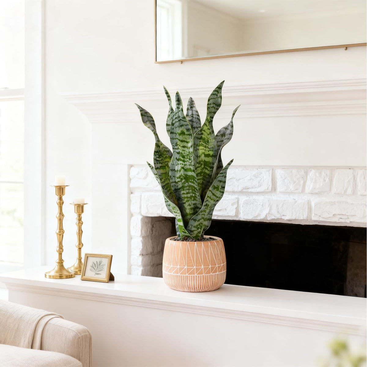 Artificial Realistic Snake Plant 16" with White Ceramic Pot