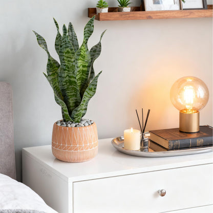 Artificial Realistic Snake Plant 16" with White Ceramic Pot