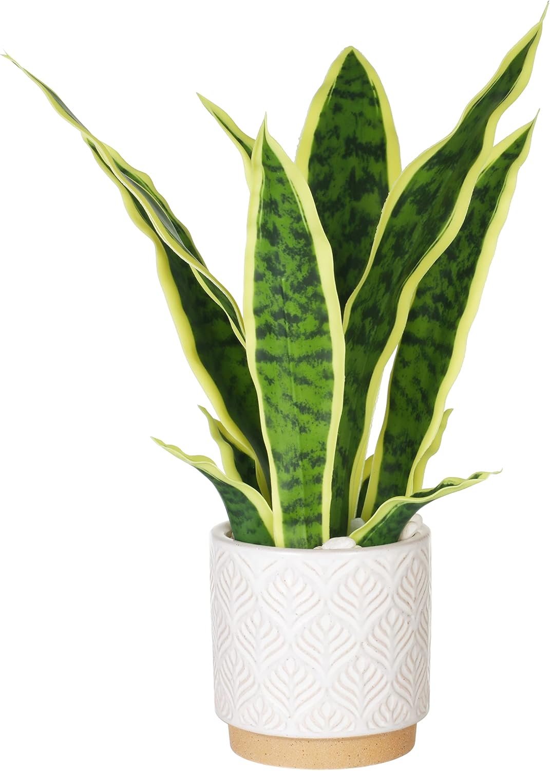 Artificial Realistic Snake Plant 16" with White Ceramic Pot