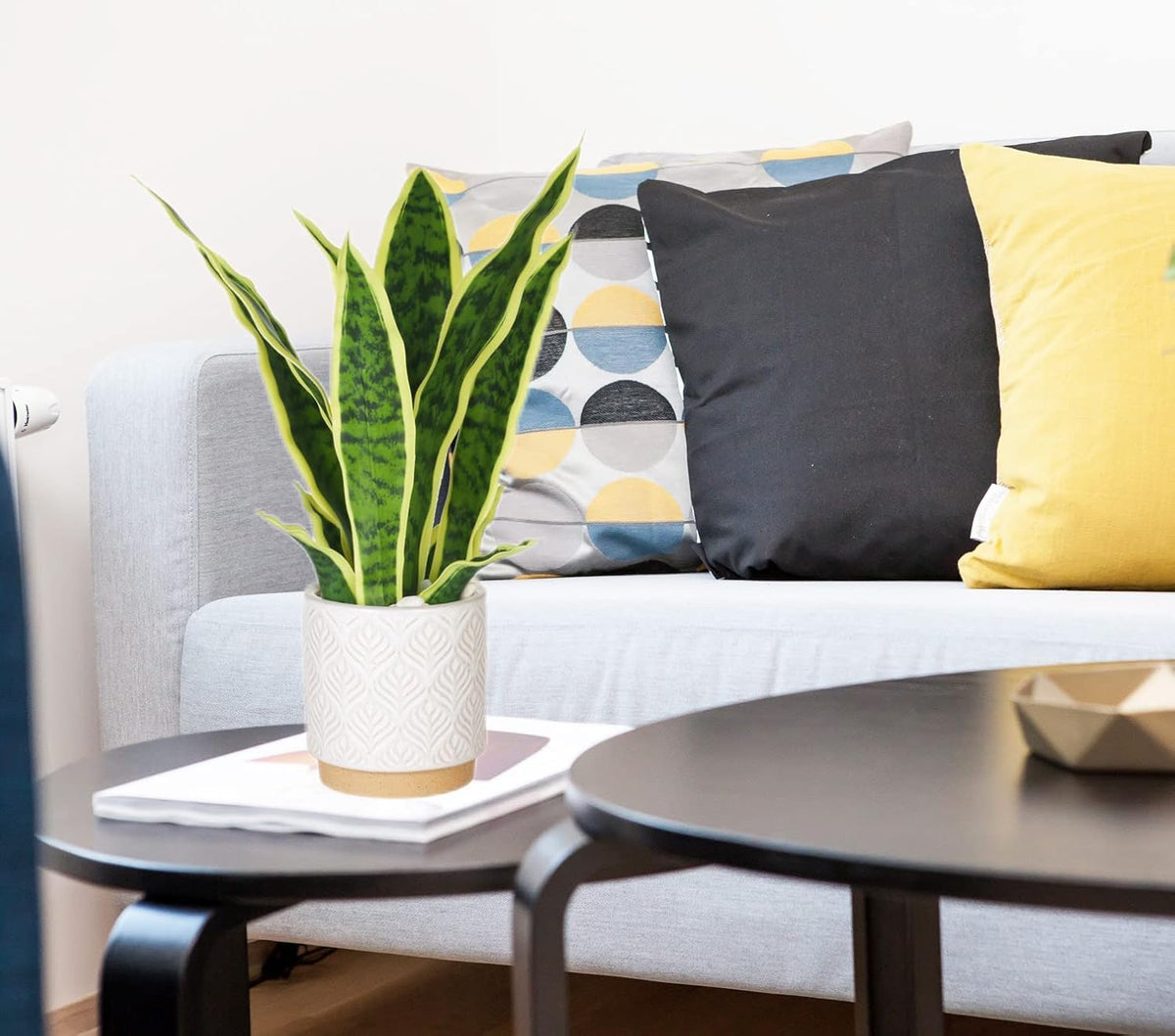 Artificial Realistic Snake Plant 16" with White Ceramic Pot