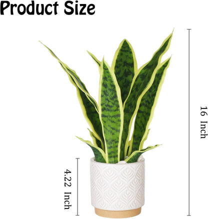 Artificial Realistic Snake Plant 16" with White Ceramic Pot