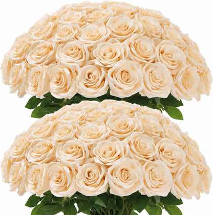 100 Pcs White Rose Artificial Flowers Bulk, Ivory Silk Fake Roses with Long Stem for Wedding Decoration, Bridal Bouquets, DIY Flower Wall, Party Table Centerpieces, Home Decor