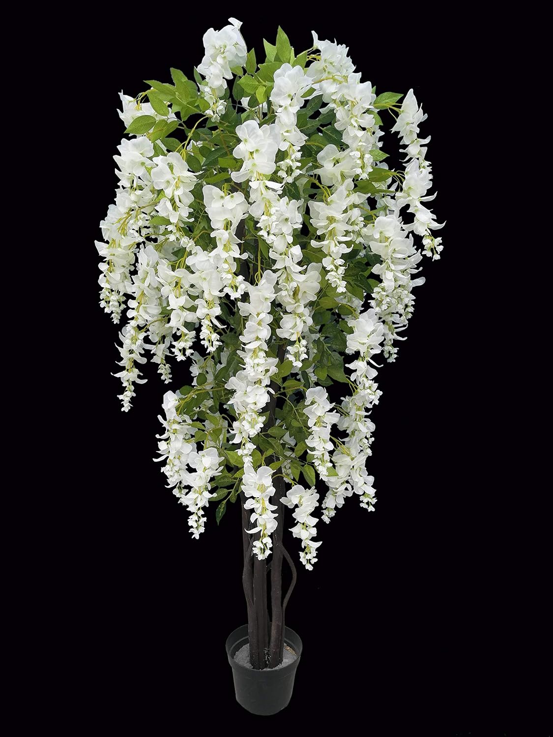 Gorgeous & Unique 5 Feet Blooming Artificial Silk Creamy White Wisteria Tree with Twisted Trunks, in Nursery Pot, Feel Real Technology
