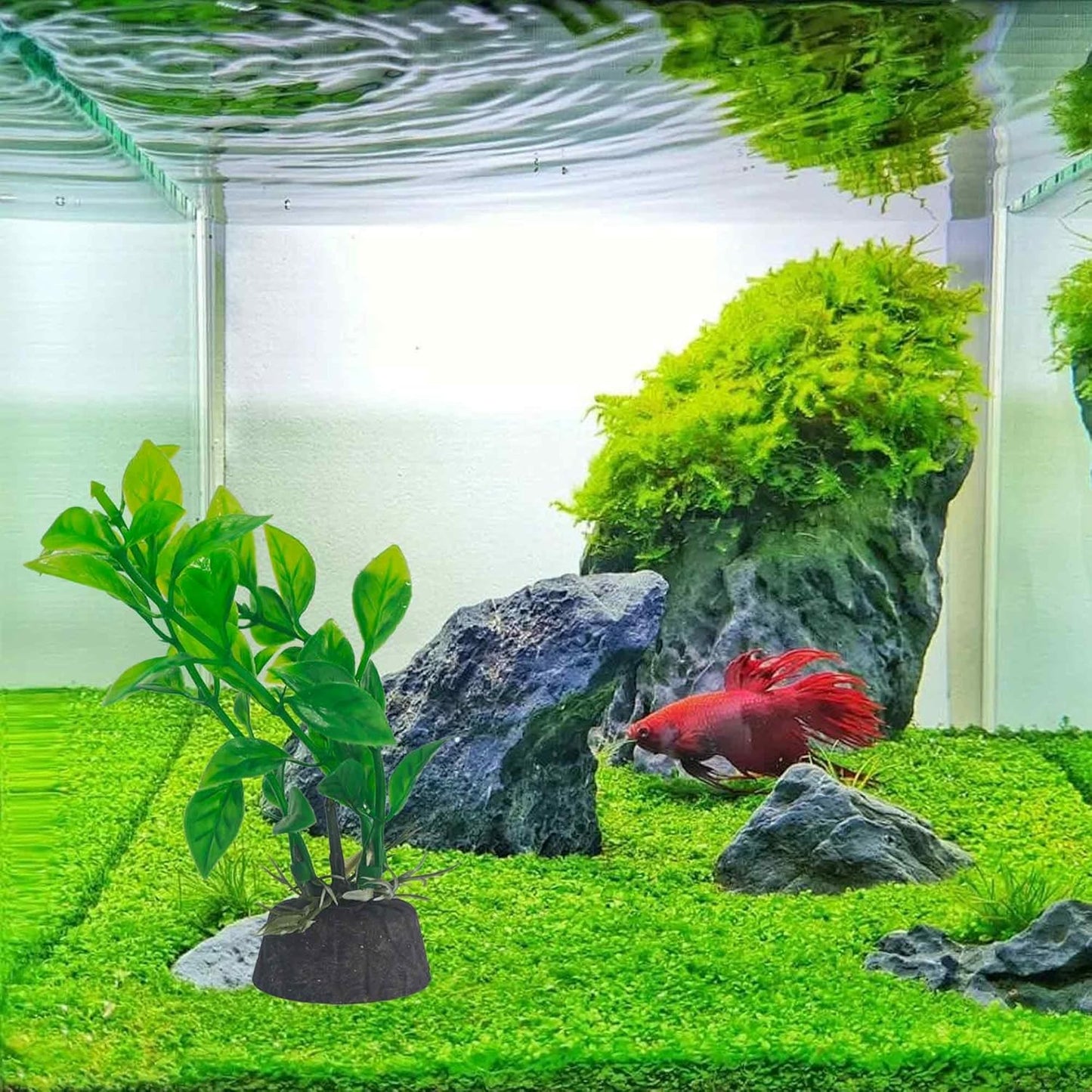 6PCS 4 Inches Tall Green Seaweed Grass Artificial Aquarium Plants, Plastic Fish Tank Decorations for Freshwater and Saltwater Tanks