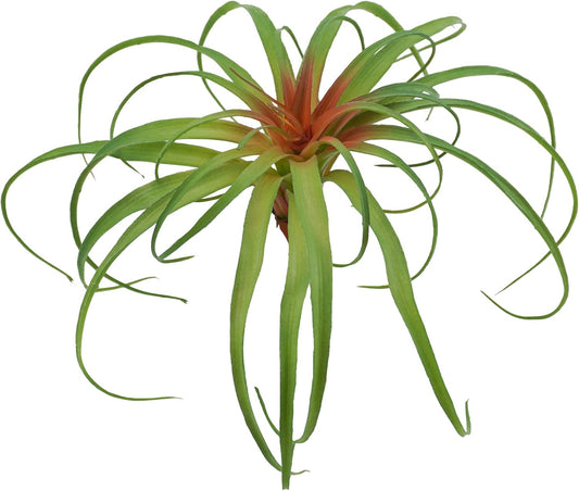 Succulents Plants Artificial, Large Fake Succulents Unpotted Flowers Pineapple Grass Greenery Plants for Home Outdoor Wedding Floral Arrangement Green
