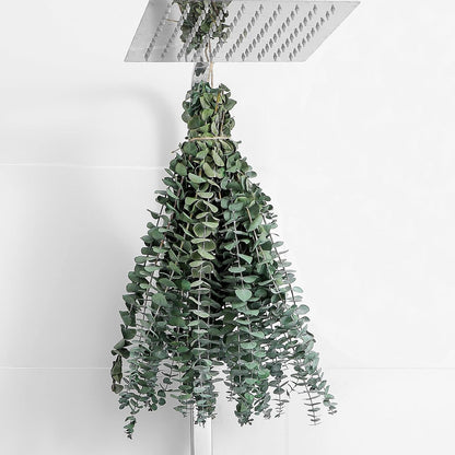 10 Pcs Dried Eucalyptus Stems 17" Real Eucalyptus for Shower Hanging
