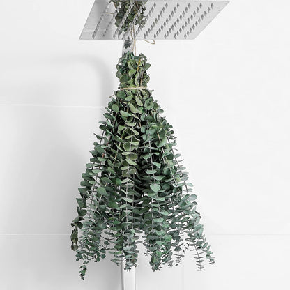 10 Pcs Dried Eucalyptus Stems 17" Real Eucalyptus for Shower Hanging
