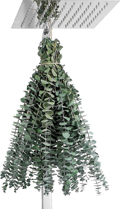 10 Pcs Dried Eucalyptus Stems 17" Real Eucalyptus for Shower Hanging