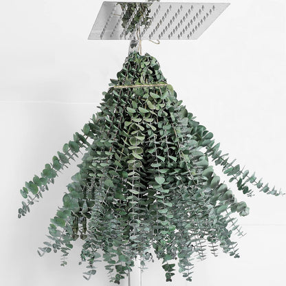 10 Pcs Dried Eucalyptus Stems 17" Real Eucalyptus for Shower Hanging