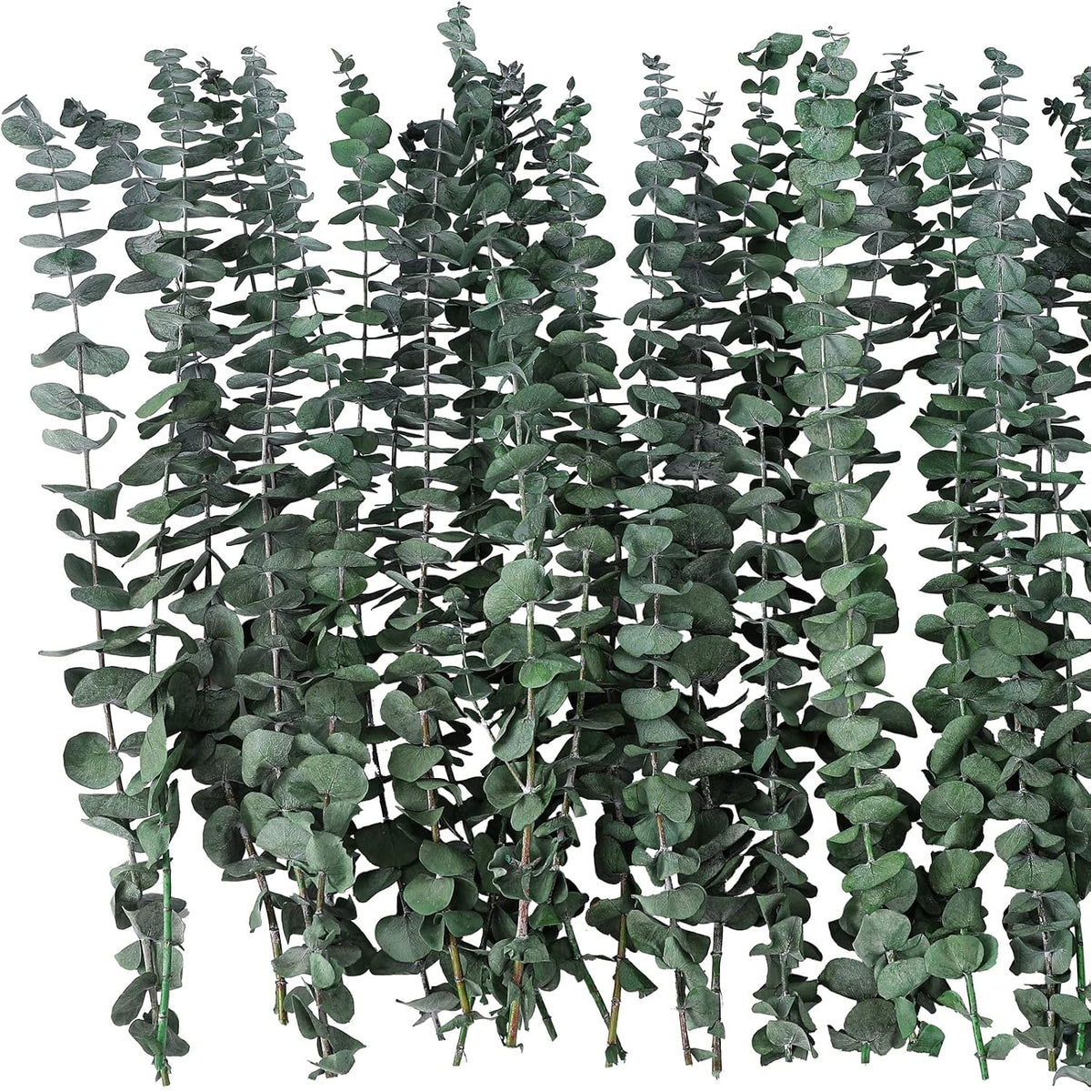 10 Pcs Dried Eucalyptus Stems 17" Real Eucalyptus for Shower Hanging