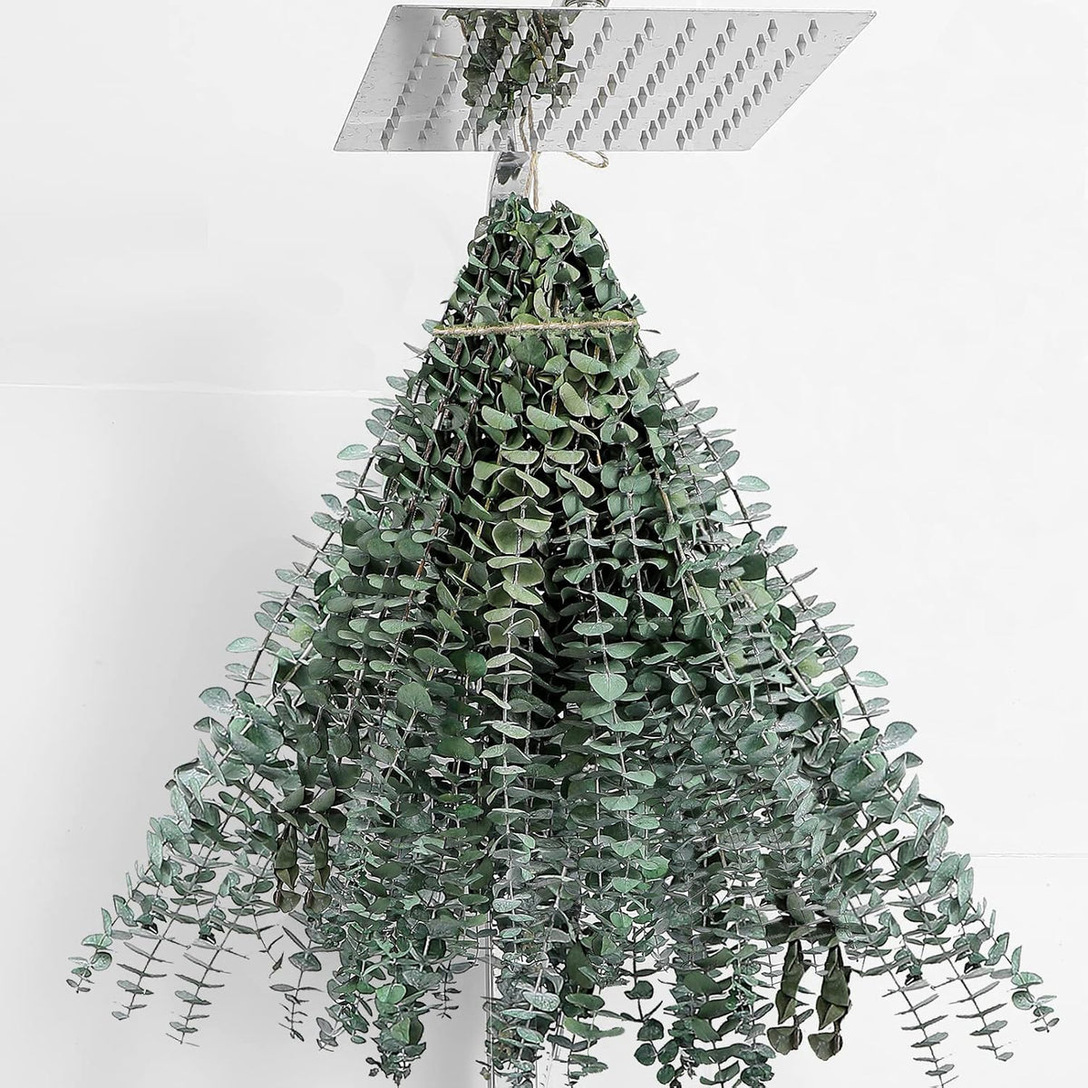 10 Pcs Dried Eucalyptus Stems 17" Real Eucalyptus for Shower Hanging
