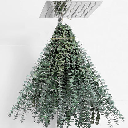 10 Pcs Dried Eucalyptus Stems 17" Real Eucalyptus for Shower Hanging