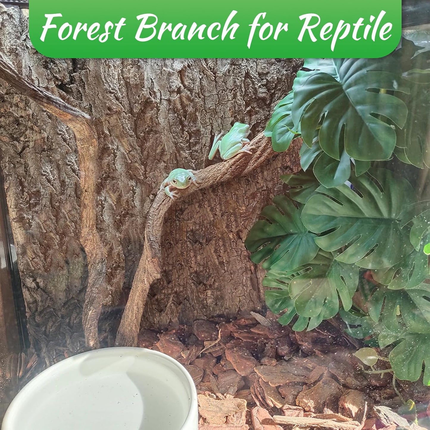 Reptile Branch Decor Snake Climbing Wood Branches Lizard Habitat Decorations Terrarium Natural Forest Tree Trunk Ornament for Bearded Dragon Geckos Chameleon Frog 6 Pcs - S