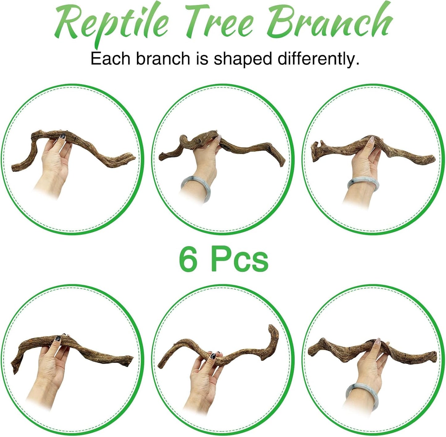 Reptile Branch Decor Snake Climbing Wood Branches Lizard Habitat Decorations Terrarium Natural Forest Tree Trunk Ornament for Bearded Dragon Geckos Chameleon Frog 6 Pcs - S