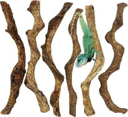 Reptile Branch Decor Snake Climbing Wood Branches Lizard Habitat Decorations Terrarium Natural Forest Tree Trunk Ornament for Bearded Dragon Geckos Chameleon Frog 6 Pcs - S