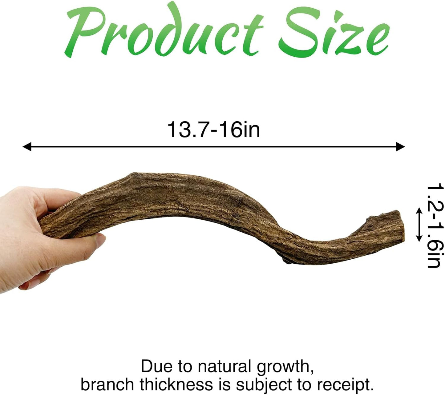 Reptile Branch Decor Snake Climbing Wood Branches Lizard Habitat Decorations Terrarium Natural Forest Tree Trunk Ornament for Bearded Dragon Geckos Chameleon Frog 6 Pcs - S