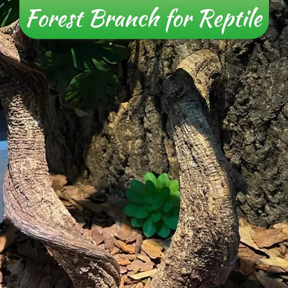 Reptile Branch Decor Snake Climbing Wood Branches Lizard Habitat Decorations Terrarium Natural Forest Tree Trunk Ornament for Bearded Dragon Geckos Chameleon Frog 6 Pcs - S