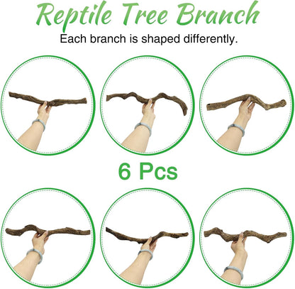 Reptile Branch Decor Snake Climbing Wood Branches Lizard Habitat Decorations Terrarium Natural Forest Tree Trunk Ornament for Bearded Dragon Geckos Chameleon Frog 6 Pcs - S