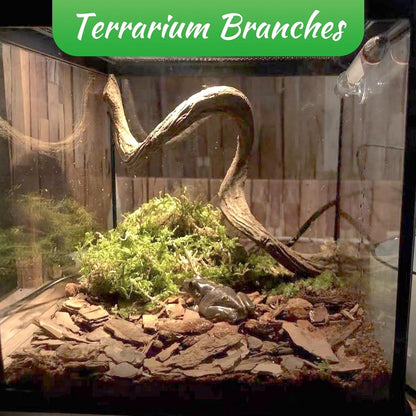 Reptile Branch Decor Snake Climbing Wood Branches Lizard Habitat Decorations Terrarium Natural Forest Tree Trunk Ornament for Bearded Dragon Geckos Chameleon Frog 6 Pcs - S