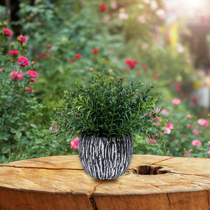 Set of 3 Artificial Potted Plants Faux Eucalyptus Rosemary Boxwood Greenery in Black & White Concrete Pots Small Fake Plant for Indoor Outdoor Home Office Table Shelf Windowsill Greens Décor