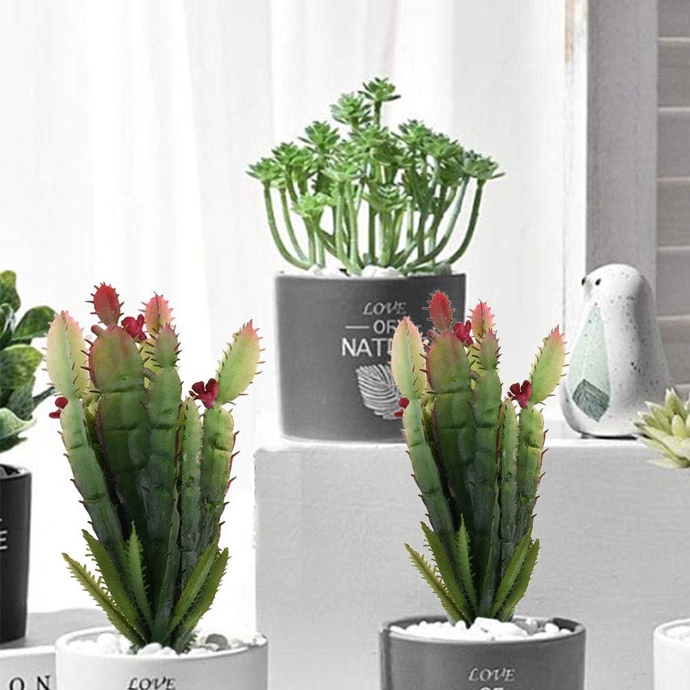 2pcs Real Looking Artificial Cactus Artificial Cacti Plant DIY Material for Home Decoration Flower Arrangement