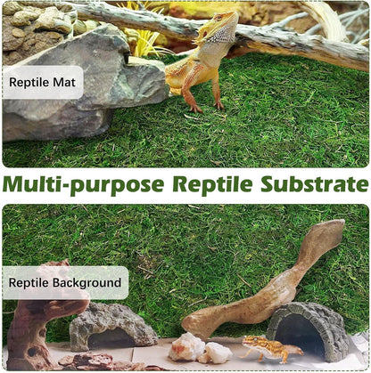 2 PCS Reptile Carpet Cuttable Terrarium Mat Artificial Moss Reptile Liner Green Substrate Flooring Bearded Dragon Tank Accessories for Leopard Gecko Lizard Snake Tortoise (11.81" x 23.62")