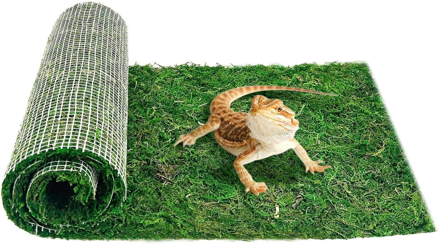 2 PCS Reptile Carpet Cuttable Terrarium Mat Artificial Moss Reptile Liner Green Substrate Flooring Bearded Dragon Tank Accessories for Leopard Gecko Lizard Snake Tortoise (11.81" x 23.62")