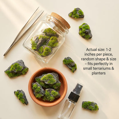 Miniature Moss Stones for Terrarium - Tree Bark Diorama Rocks for Miniature Terrain Display - Lightweight Reptile Habitat Decor - NOT for Aquarium Underwater Use - 12 Pcs Flocking-Covered (1-2 inch)