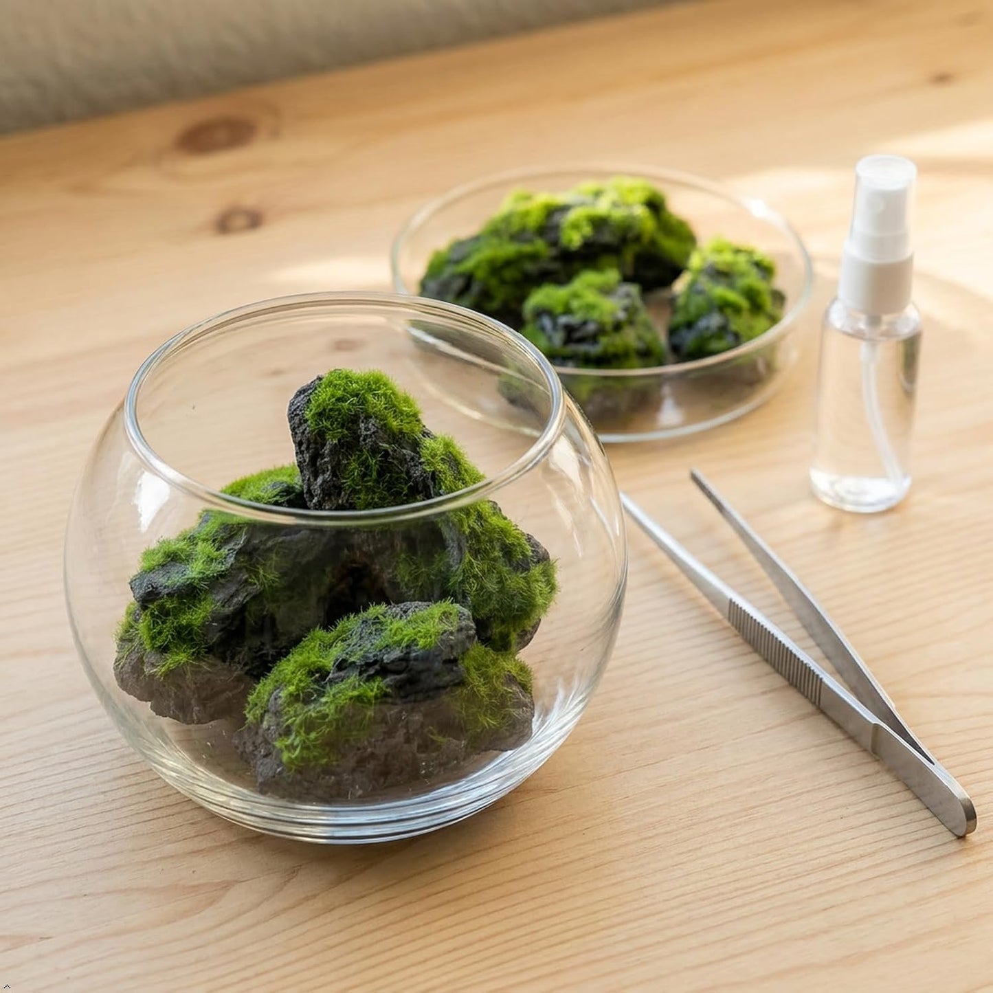 Miniature Moss Stones for Terrarium - Tree Bark Diorama Rocks for Miniature Terrain Display - Lightweight Reptile Habitat Decor - NOT for Aquarium Underwater Use - 12 Pcs Flocking-Covered (1-2 inch)
