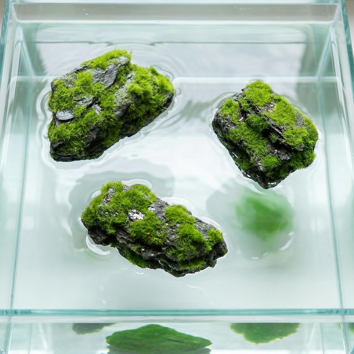 Miniature Moss Stones for Terrarium - Tree Bark Diorama Rocks for Miniature Terrain Display - Lightweight Reptile Habitat Decor - NOT for Aquarium Underwater Use - 12 Pcs Flocking-Covered (1-2 inch)